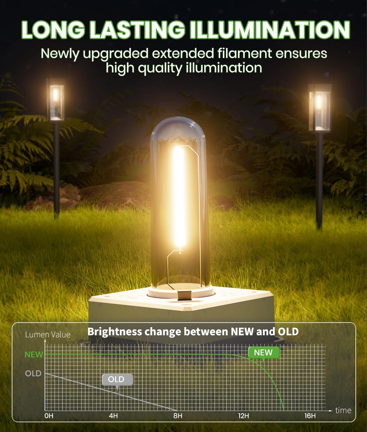 12 Pack Warm Solar Path Lights