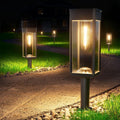 12 Pack Warm Solar Path Lights