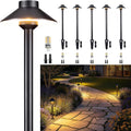 6 Pack Brass Low Voltage Path Lights