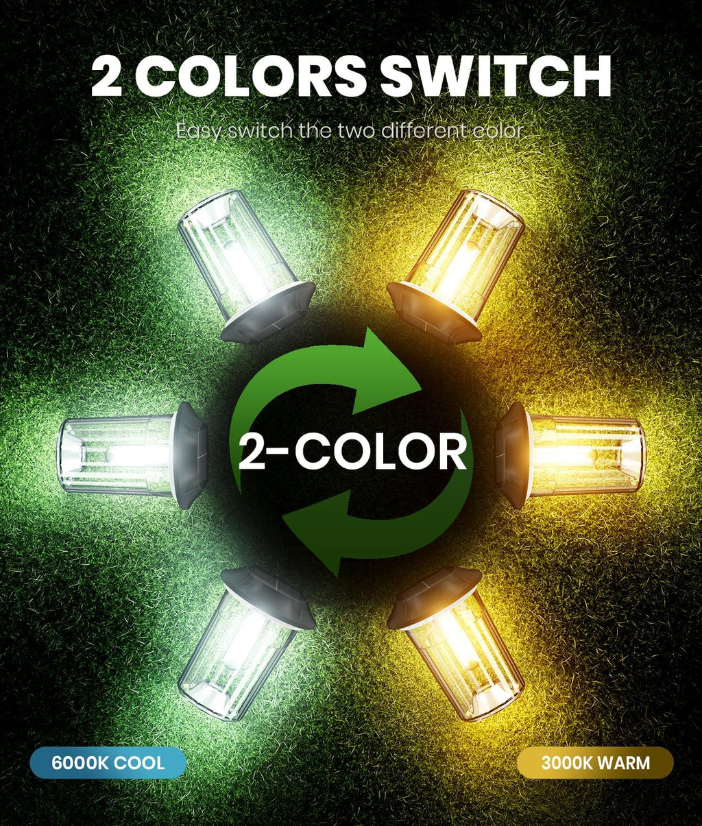 8 Pack Dual Color Solar Path Lights