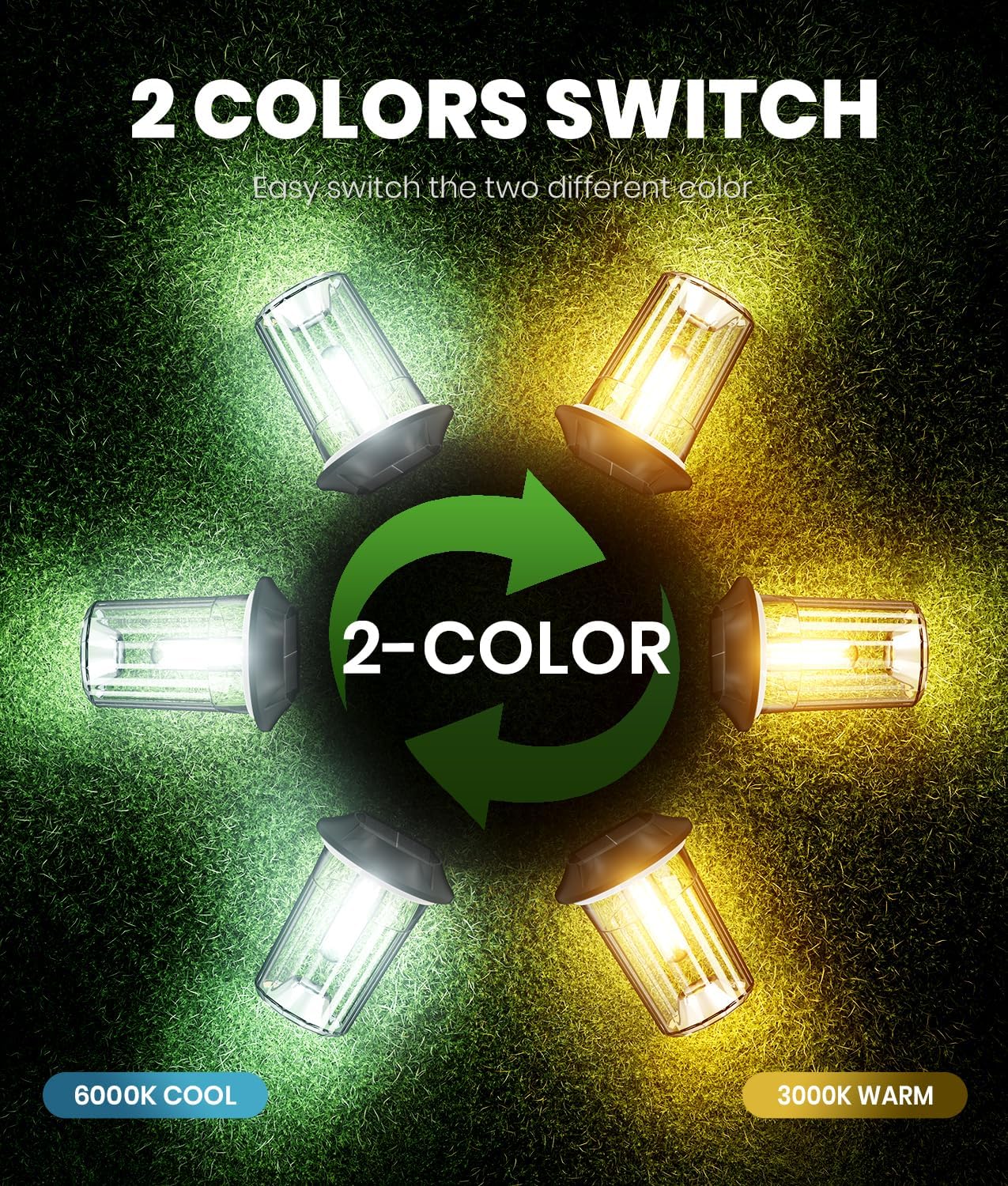 8 Pack Dual Color Solar Path Lights